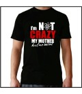 The Big Bang Theory I´m not crazy my mother had me tasted camiseta negra