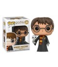Harry Potter con Hedwig Funko Pop 31